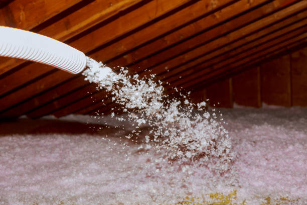 Best Insulation Maintenance and Repair in Theresa, WI