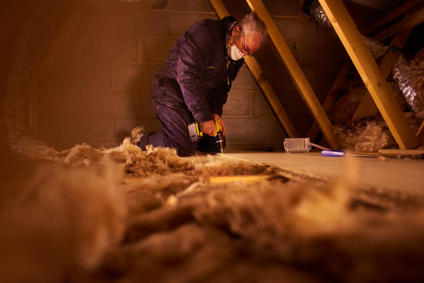 Best Types of Insulation in Theresa, WI